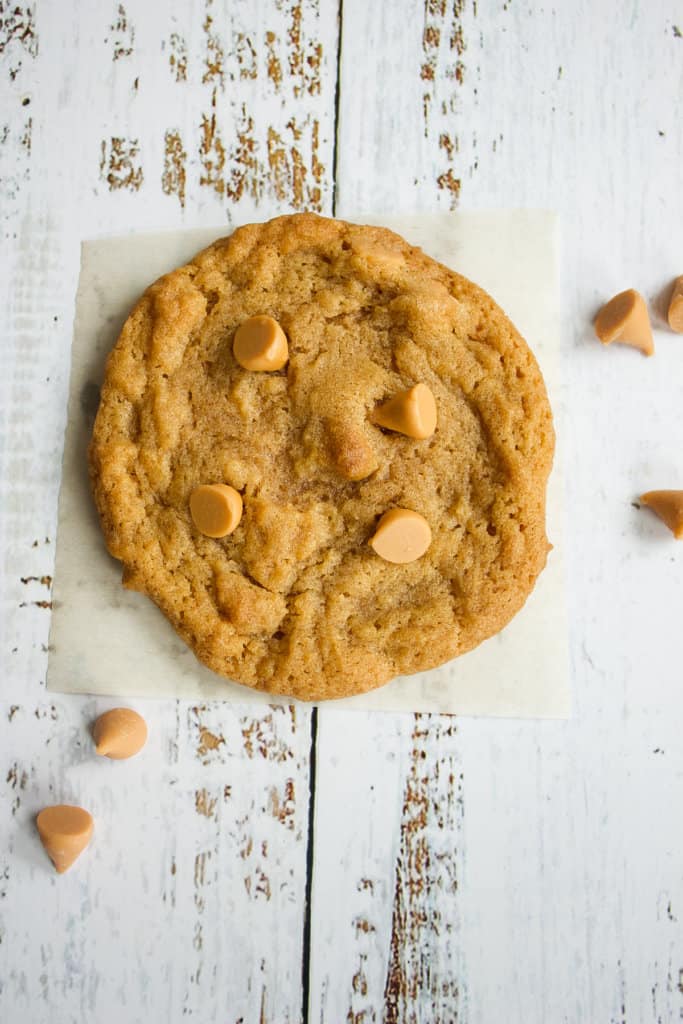 single butterscotch cookie