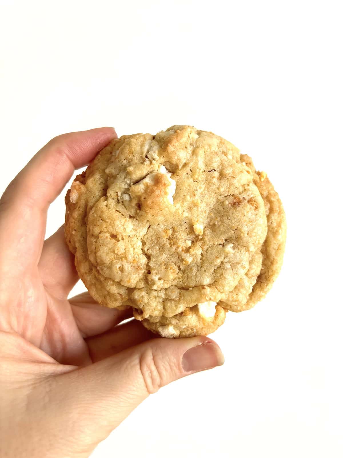 Woman's hand holds a lemon pie cookie.